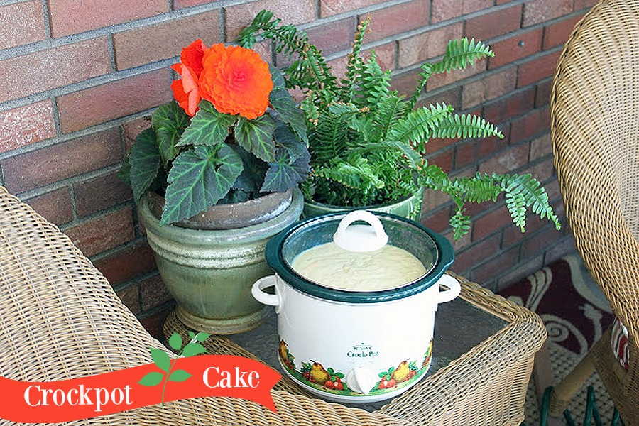 Crock-Pot Cake