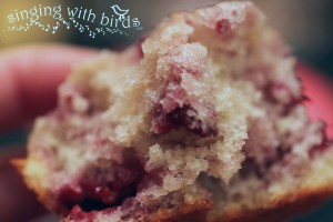 Raspberry Sugar Muffins