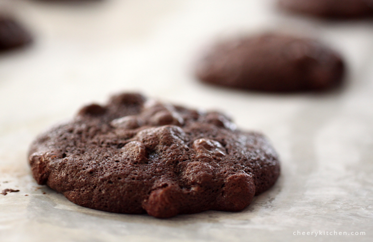 Ooey-gooey Double Chocolate Cookies
