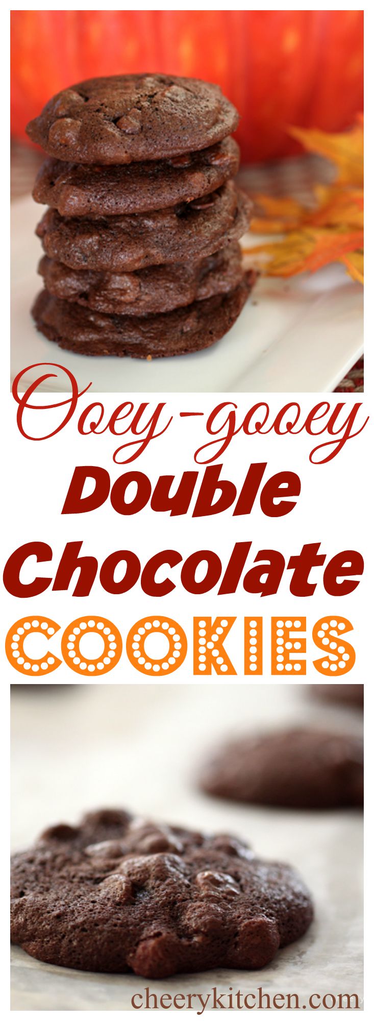 Ooey-gooey Double Chocolate Cookies
