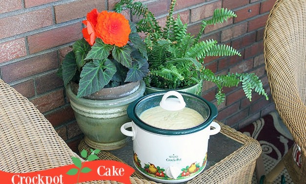 Crock-Pot Cake