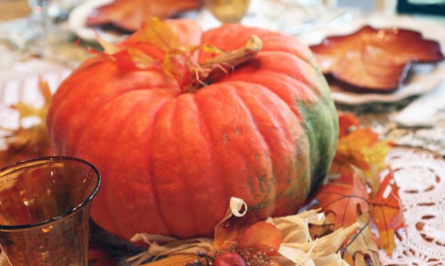 Soaring Sentiments: Thanksgiving Greetings