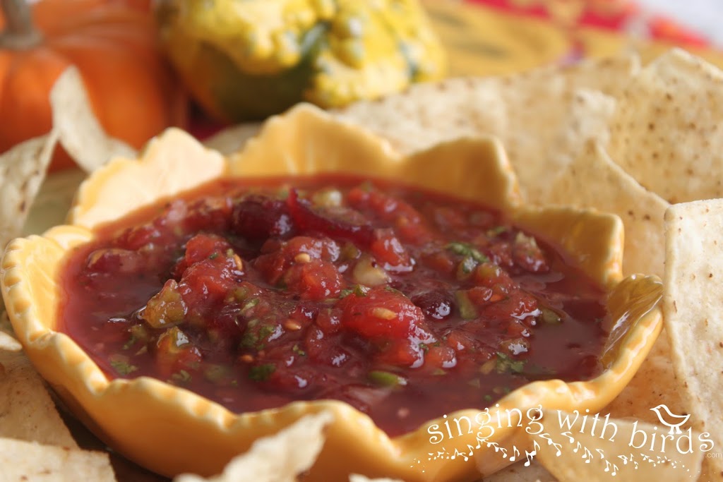 Cranberry Salsa