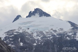 Sawyer Glacier Tracy Arm-Ford Wilderness Alaska