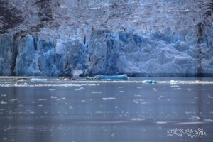 Glacier Ice, Tracy Arm-Ford Wilderness Alaska