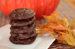 Ooey-gooey-Double-Chocolate-Cookies